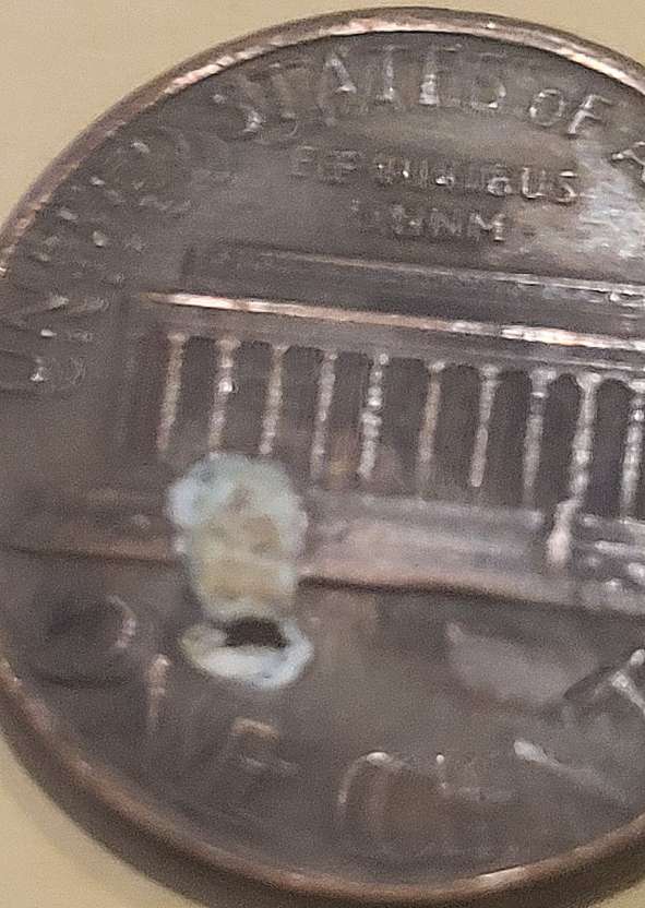 1986-Penny-Error-Hole-In-Head